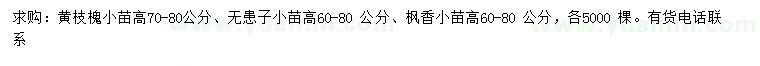 求购黄枝槐小苗、无患子小苗、枫香小苗