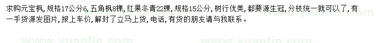 求购元宝枫、五角枫、红果冬青