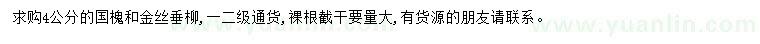 求购4公分国槐、金丝垂柳