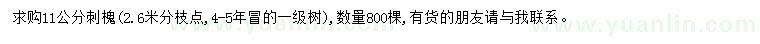 求购11公分刺槐