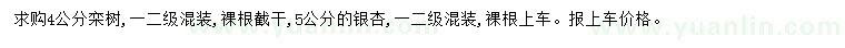 求购4公分栾树、5公分银杏