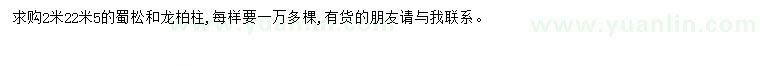 求购2米2一2米5蜀松、龙柏柱