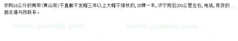 求购16公分南栾、黄山栾