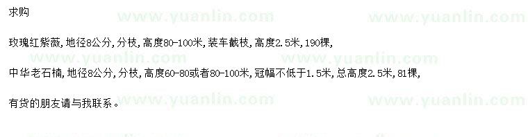 求购地径8公分玫瑰红紫薇、中华老石楠