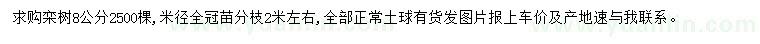 求购米径8公分栾树