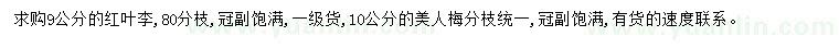 求购9公分红叶李、10公分美人梅