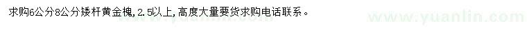 求购6、8公分黄金槐