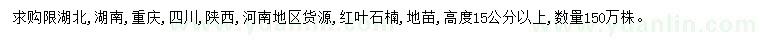 求购高15公分以上红叶石楠