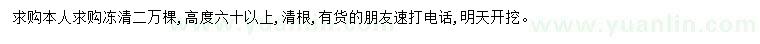 求购高60公分以上冬青