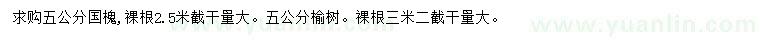 求购5公分国槐、榆树