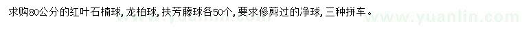 求购红叶石楠球、龙柏球、扶芳藤球