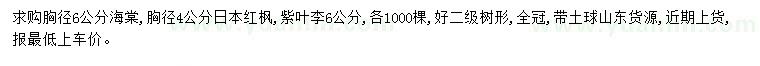 求购海棠、日本红枫、紫叶李