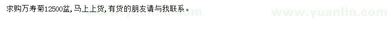 求購萬壽菊