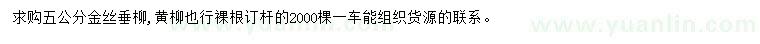 求购5公分金丝垂柳、黄柳