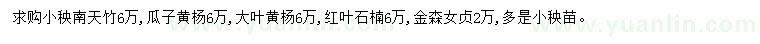 求购南天竹、瓜子黄杨、大叶黄杨等