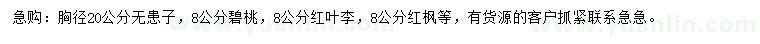 求购无患子、碧桃、红叶李等