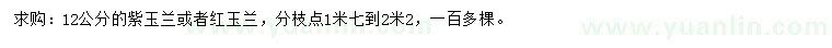 求购12公分紫玉兰、红玉兰