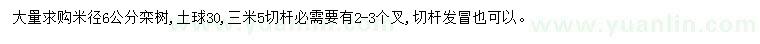 求购米径6公分栾树