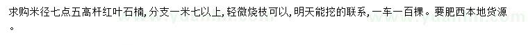 求购米径7.5公分高杆红叶石楠