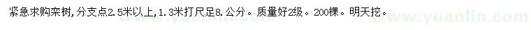 求购1.3米打尺8.5公分栾树