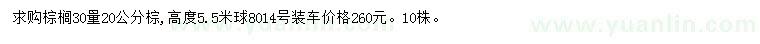 求购30量20公分棕榈