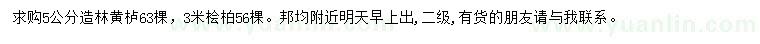 求购5公分黄栌、3米桧柏