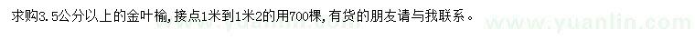 求购3.5公分以上金叶榆