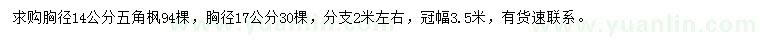 求购胸径14、17公分五角枫