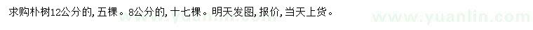 求购8、12公分朴树