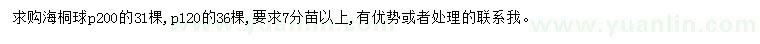 求购冠幅120、200公分海桐球