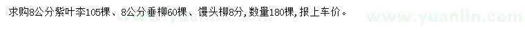 求购紫叶李、垂柳、馒头柳