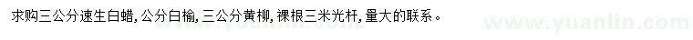 求购速生白蜡、白榆、黄柳