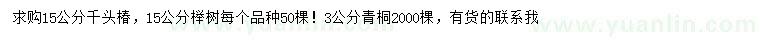 求购千头椿、榉树、青桐