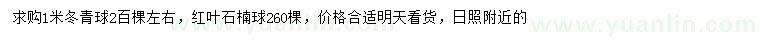 求购1米冬青球、红叶石楠球