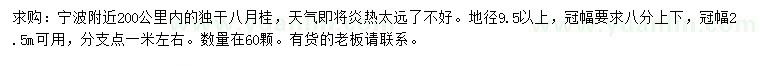 求购地径9.5公分以上八月桂