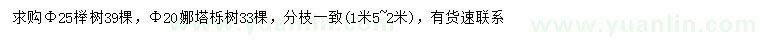 求购胸径25公分榉树、胸径20公分娜塔栎