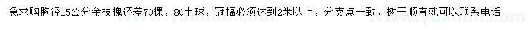 求购胸径15公分金枝槐