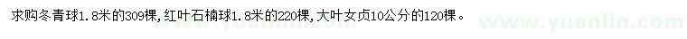 求购冬青球、红叶石楠球、大叶女贞