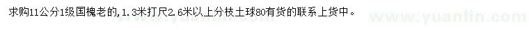 求购1.3米打尺11公分老国槐