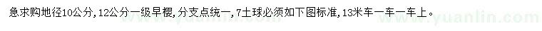 求购地径10、12公分早樱