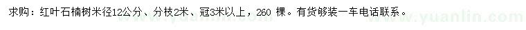 求购米径12公分红叶石楠