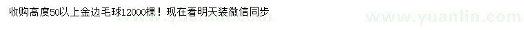 求购高50公分以上金边球