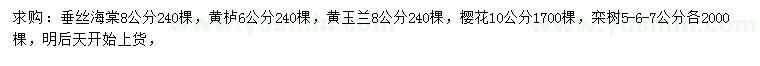 求购垂丝海棠、黄栌、黄玉兰等