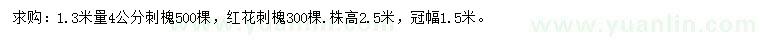 求购1.3米量4公分刺槐、红花刺槐