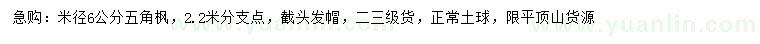 求购米径6公分五角枫