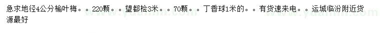 求购榆叶梅、望都桧、丁香球