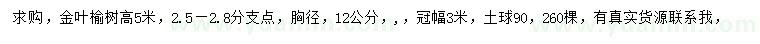 求购高5米金叶榆