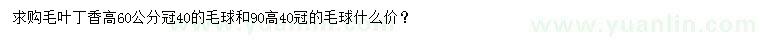 求购冠40公分毛叶丁香