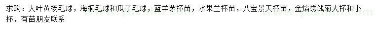 求购大叶黄杨球、海桐球、瓜子黄杨球等