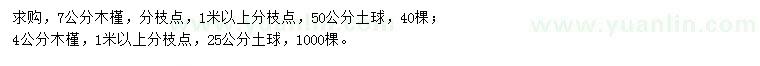 求购4、7公分木槿